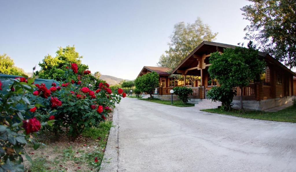 Sandy'S Studios Apartments & Log-Villas Кос Екстериор снимка